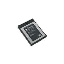 SanDisk Professional - carte mémoire flash - 256 Go - CFexpress de type B