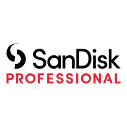 SanDisk Professional - carte mémoire flash - 256 Go - CFexpress de type B