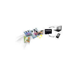 SanDisk - carte mémoire flash - 32 Go - micro SDHC