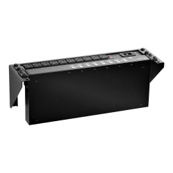 StarTech.com Support Mural Vertical en Acier pour Rack 3U - Acier - 48 cm - support de montage - 3U