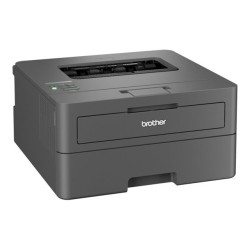 Brother HL-L2400DWE