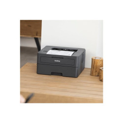 Brother HL-L2400DWE