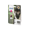 Babouin T0893 Magenta blister sans alarme