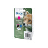 Renard Magenta BLISTER avec alarme